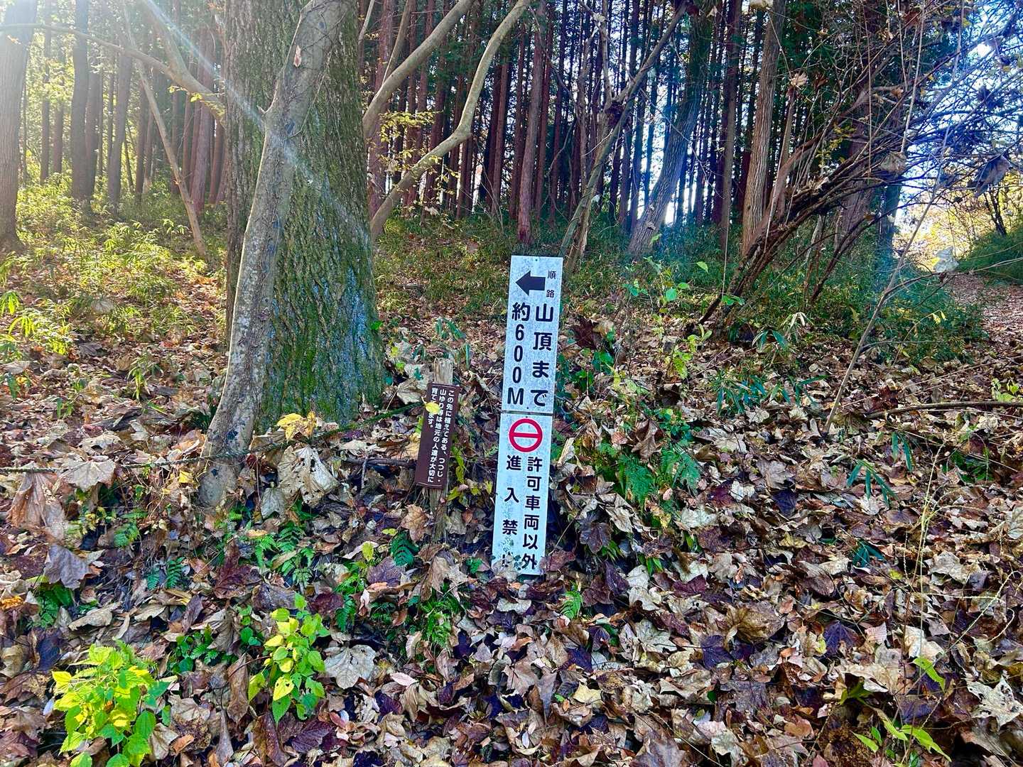 あれ⁉️ もう山頂まで600メートル…