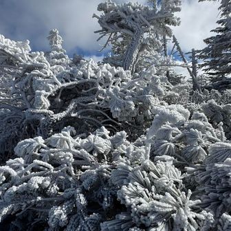 今日は微風だ〜