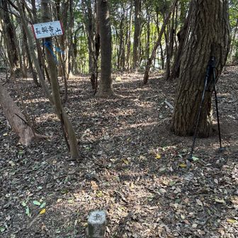 特に景色は、無い。