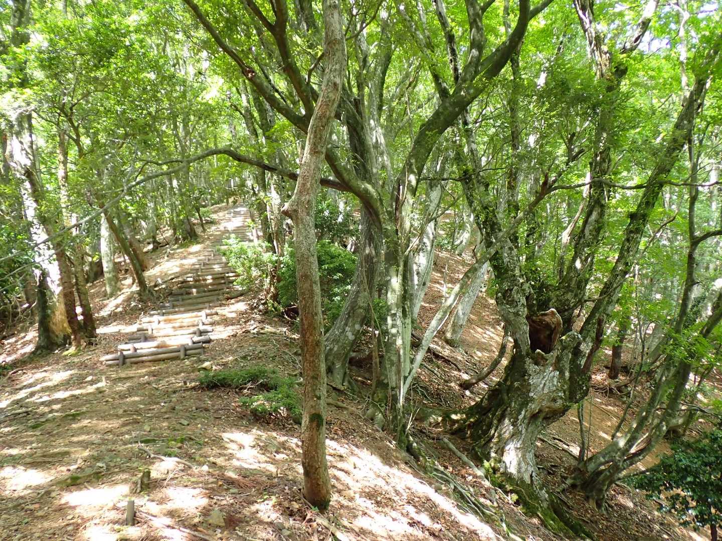急登階段地獄が続く💦