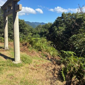 ⛩️の後ろから下って行きます
下りは特に写真は撮っていません