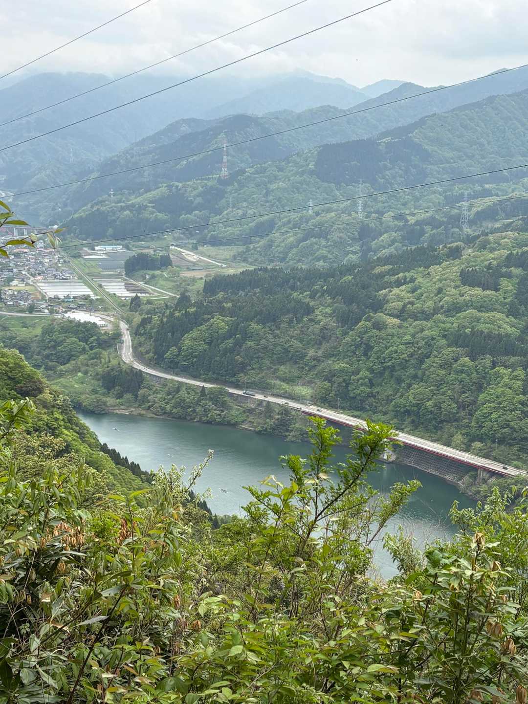 見下ろす感じも良い✨