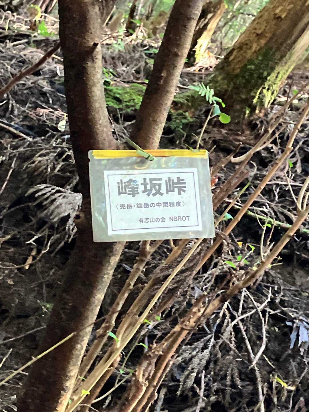 峰坂（みねさか）峠

兜と鎧の中間くらいです