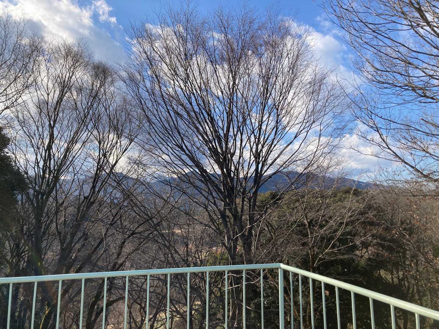八菅山 往復コースの写真