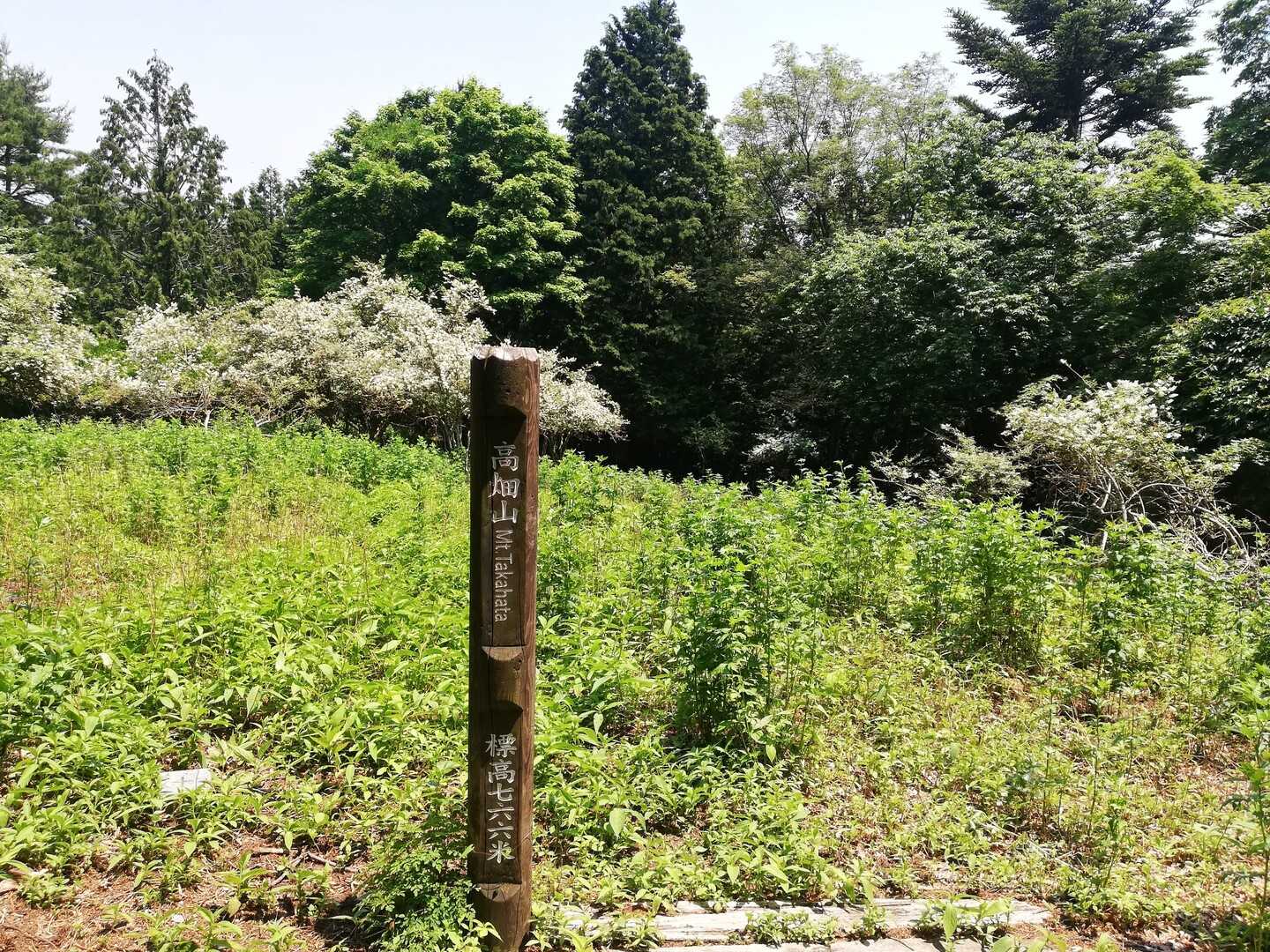 高畑山の写真