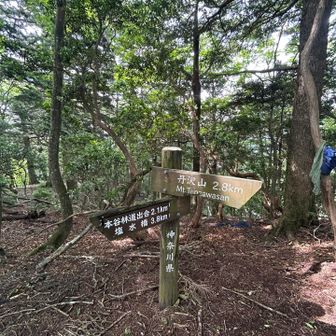 モチゴヤノ頭の辺り