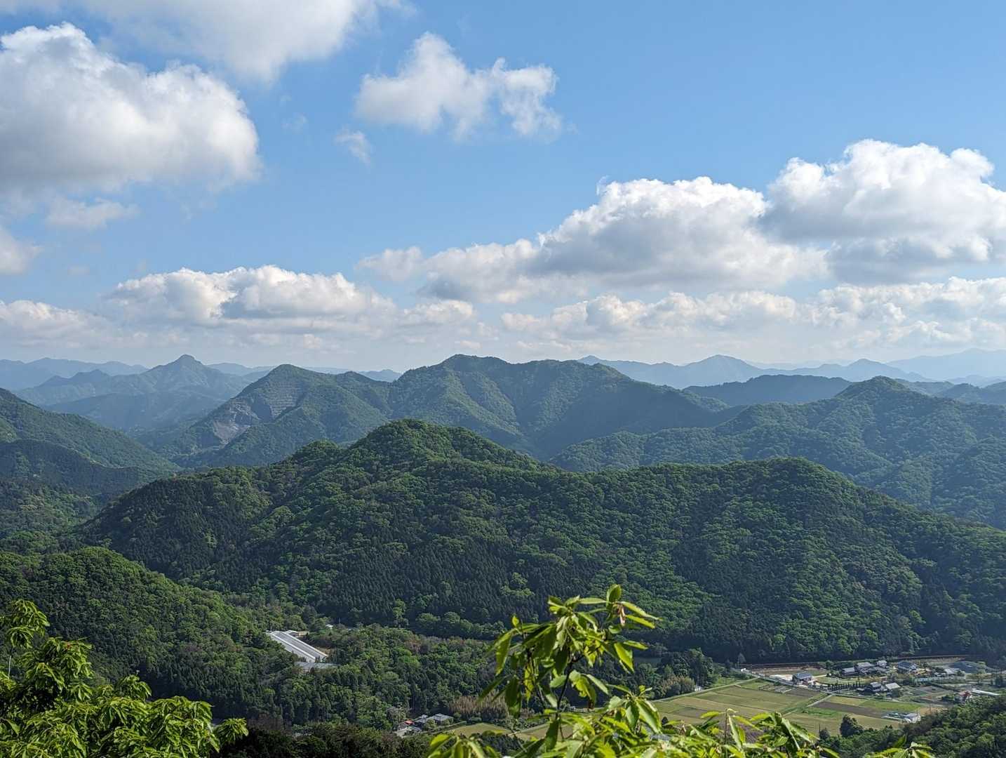 伊勢山 周回コースの写真