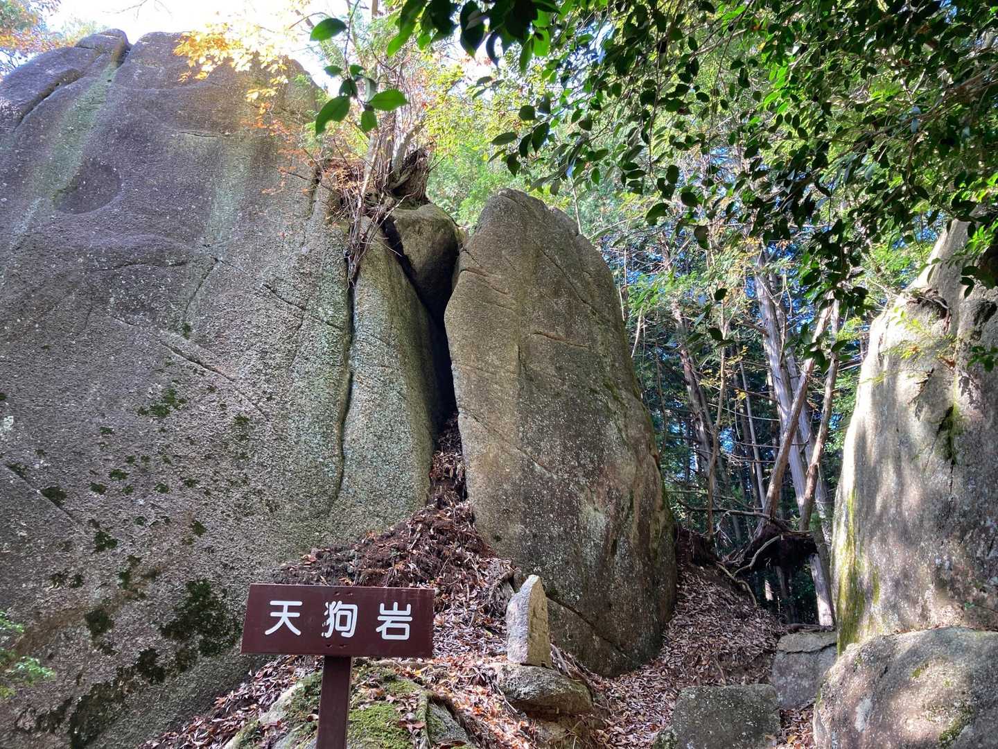 息障寺-岩尾山 往復コースの写真