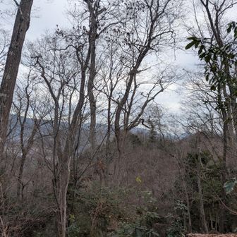 ただ、あんまり眺望はなし