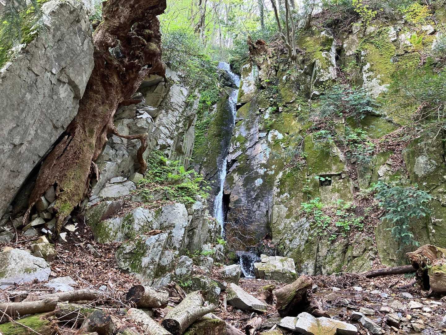 鳥上滝コース登山口-船通山 往復コースの写真