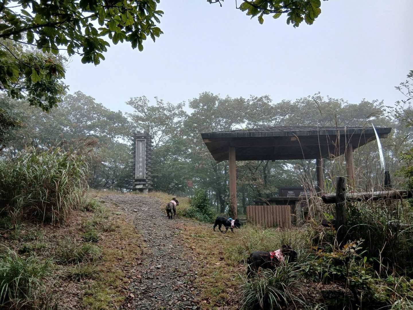 護摩壇山に到着‼️
