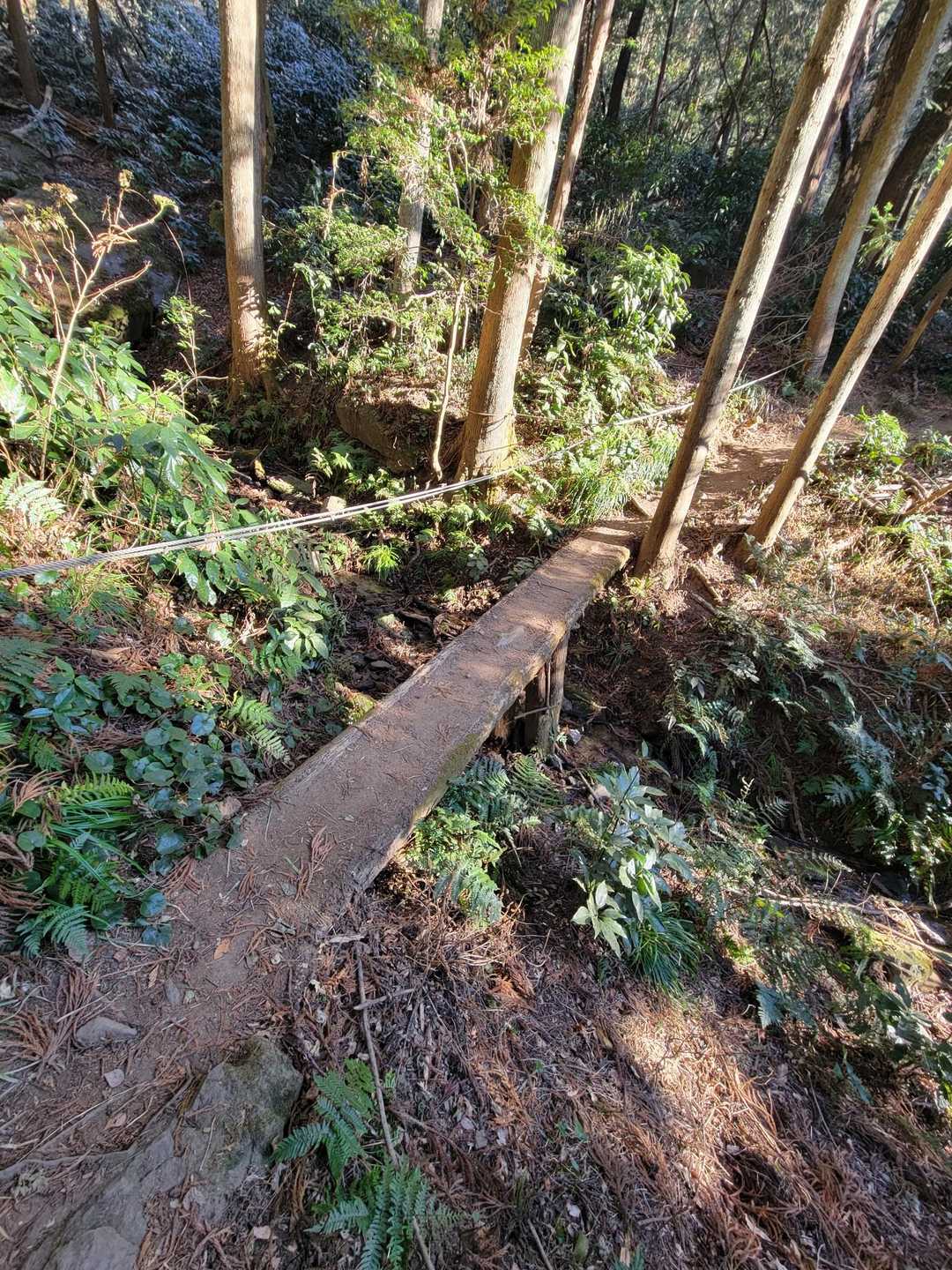 沢　その2