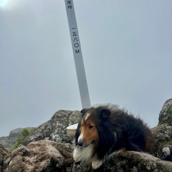 煌太郎🐶置き去りで青空を待つが‼️