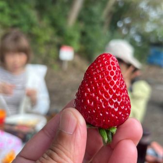 歩いた時間より、おしゃべりの時間の方が長かったかも…笑