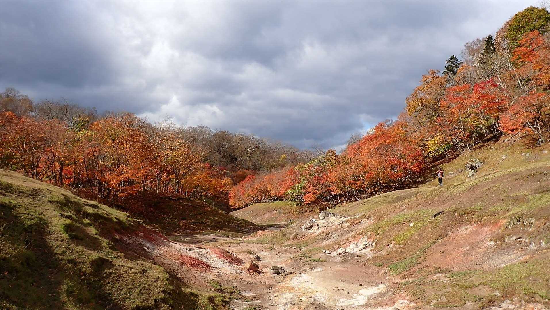 ポンポン山登山口-ポンポン山 往復コースの写真