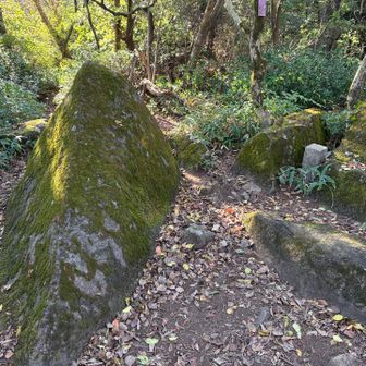 筑波山には何度も登ってますが初めて坊主山に登頂しました。しかし三角点だけで標柱も何もなし😅