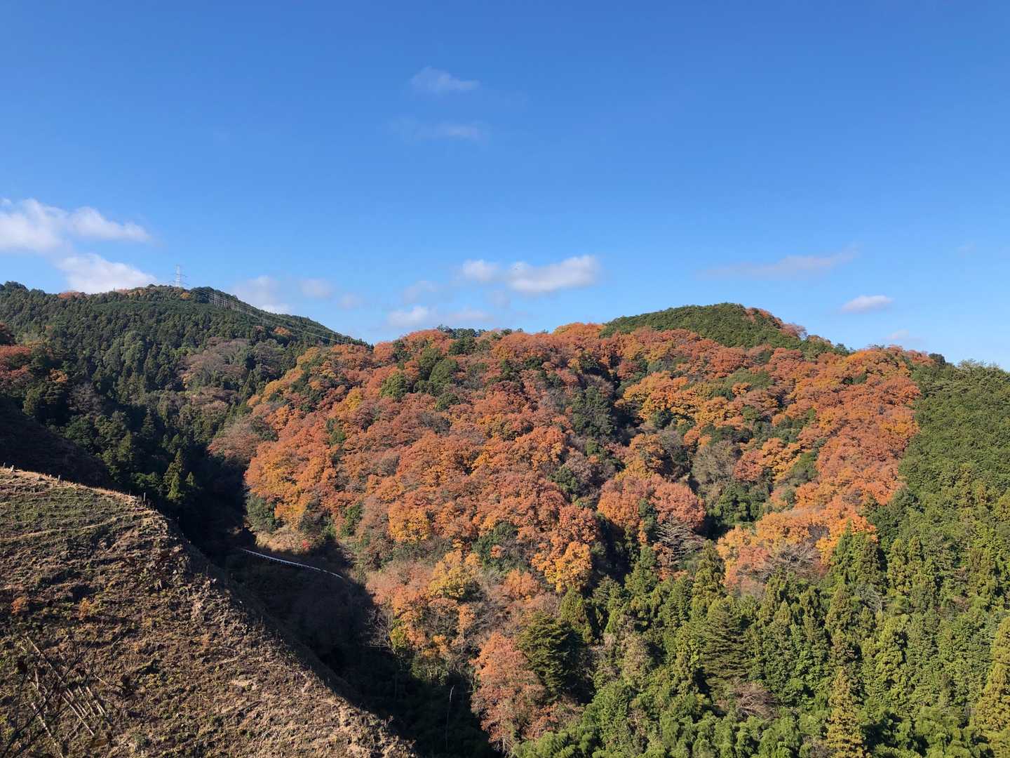 日和田山登山口-金刀比羅神社-日和田山-高指山-物見山-小 往復コースの写真