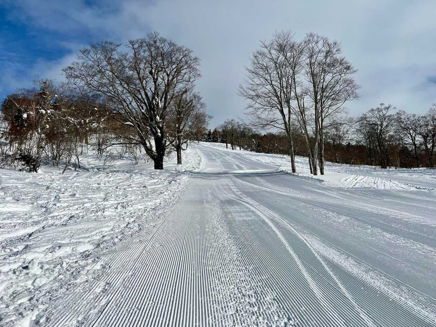 圧雪跡の表面、ピザポテトみたい