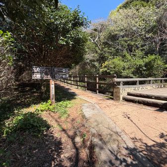 一旦分岐まで戻り、川沿いにまっすぐ行けば伊豆高原駅に辿り着きます。