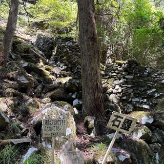 見事な石垣
