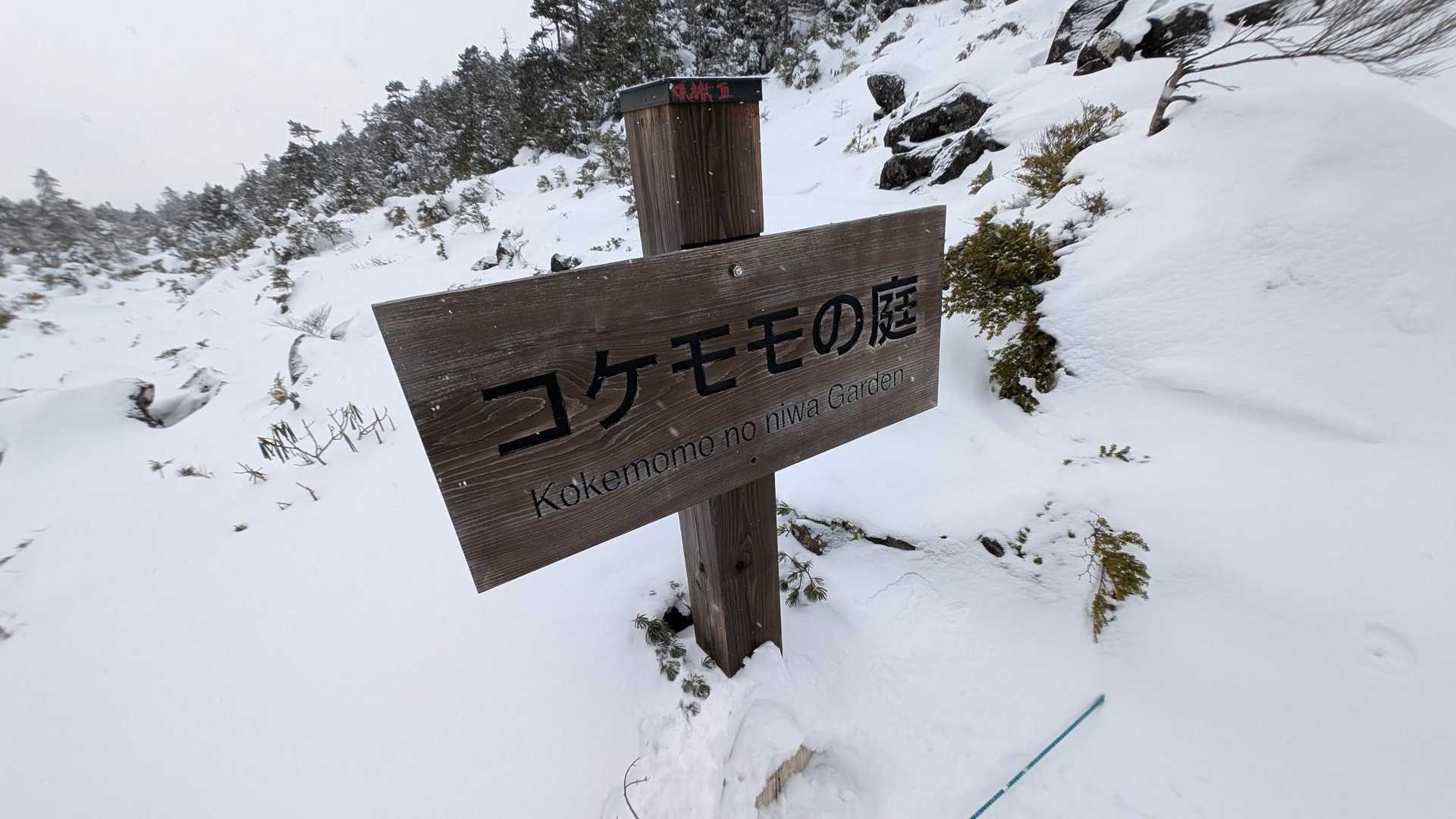 コケモモの庭
看板外れていたので可能な限り直した
ここでルートミスに気づいたので国道まで引き返した