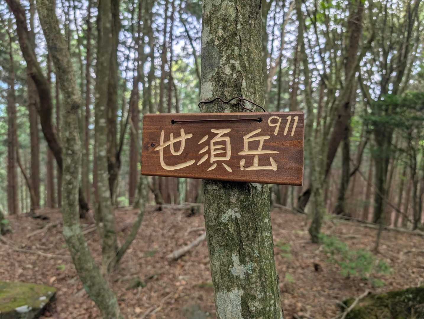 グレーピークの世須岳