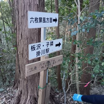 何が六枚あるのだろうか🤔