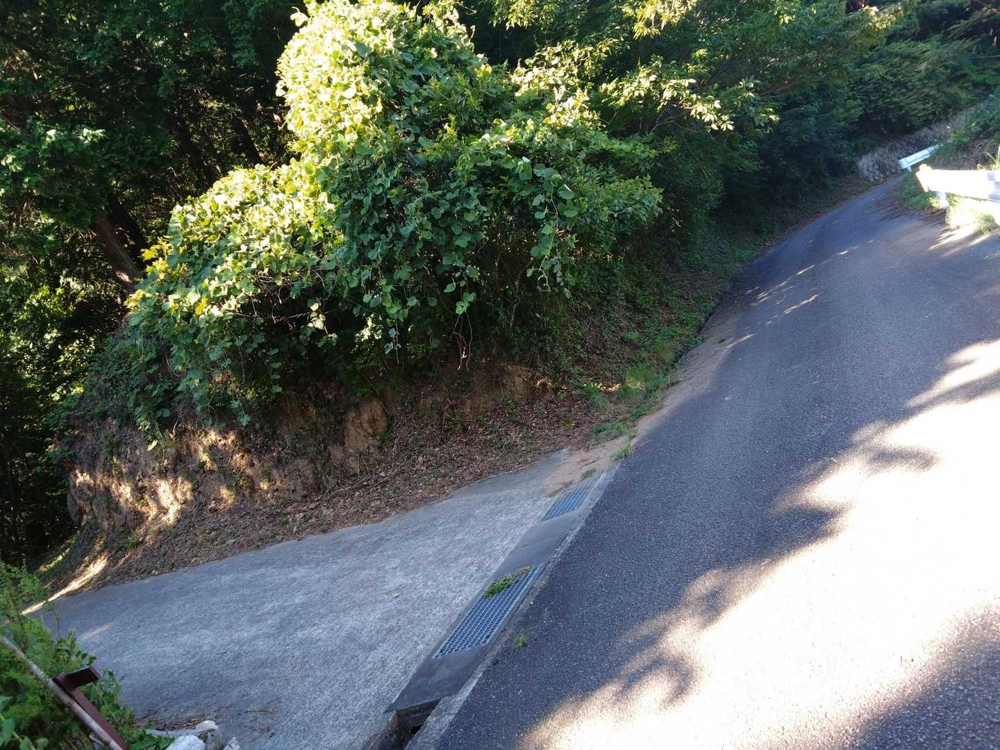 ココから舗装路を進みます