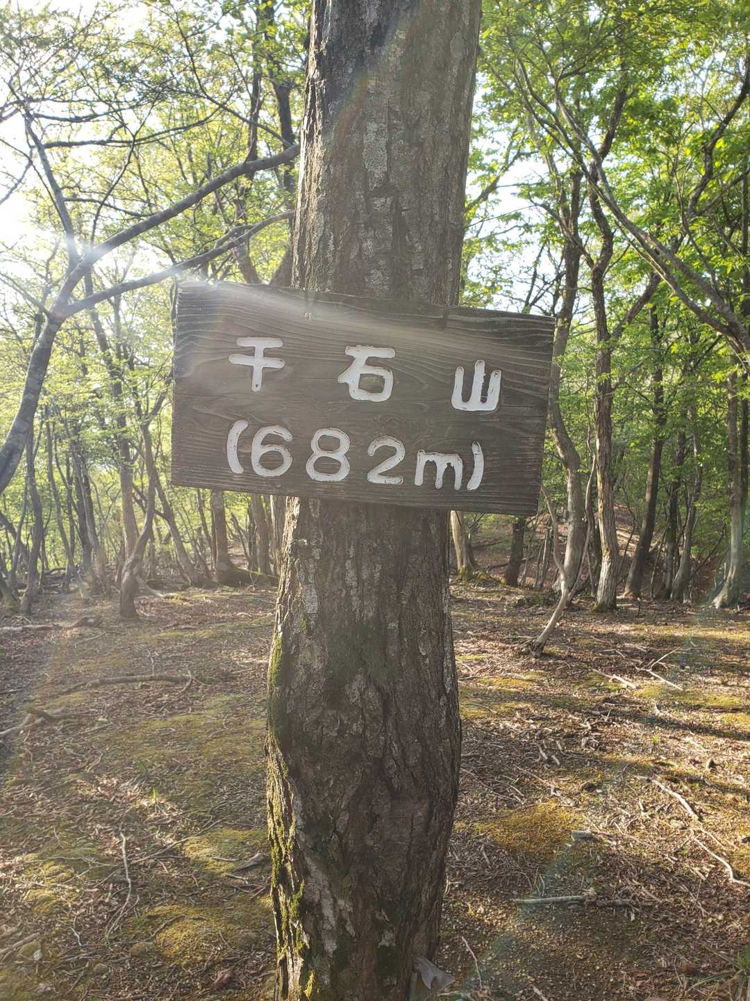 千石山（福井県）の写真
