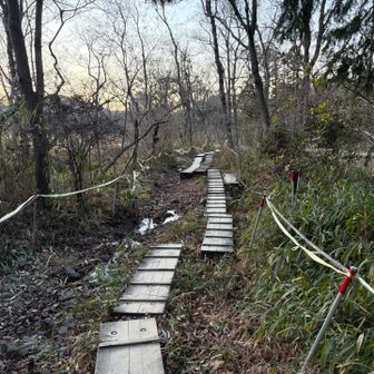 葦毛湿原まで来た！
もう安心かな😅