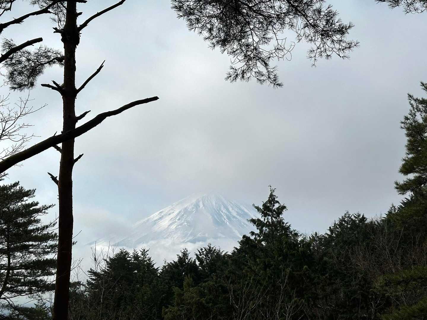 富士山💕