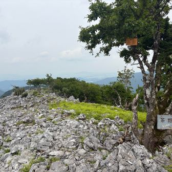 茶野山頂は360度開けていて気持ち良い