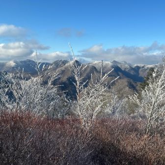 霧氷と明神岳方面