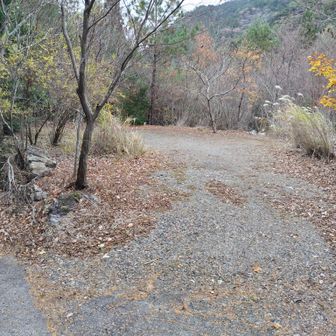 ゲート横の駐車場。3～4台いけるか？自分はもっと手前に止めました。