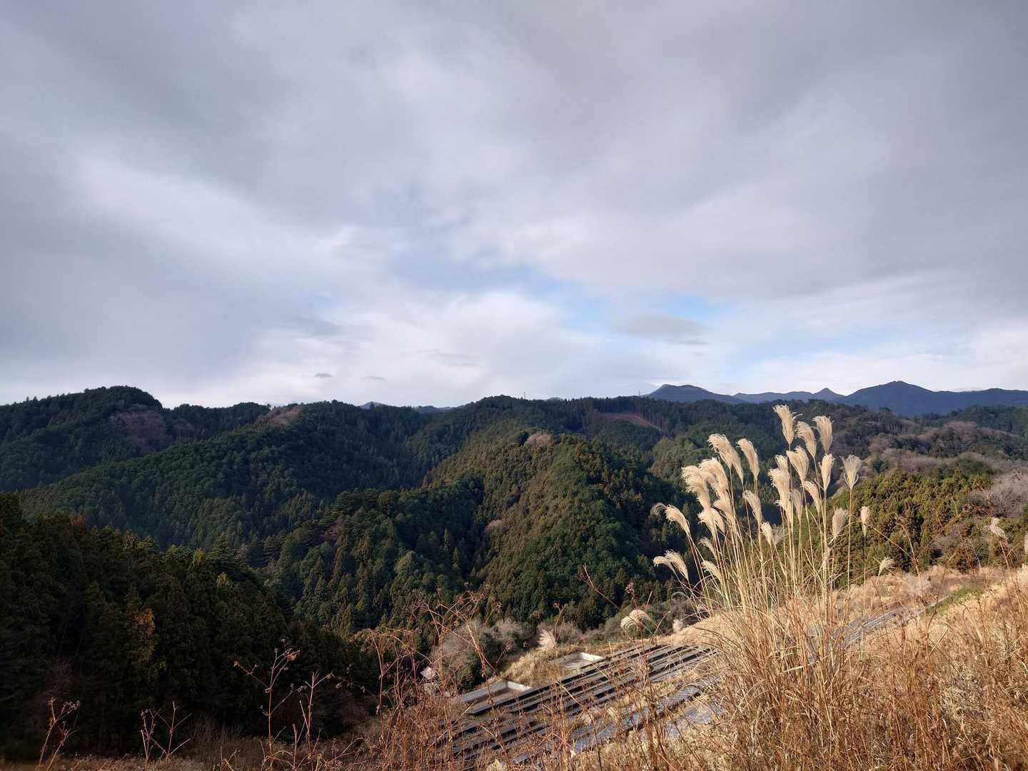 景色が開けました
なかなかよい景色