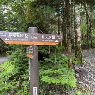 下北沢峠に無事下山
バスにも十分間に合いました

14:30の臨時バスに乗れたのはよいけれど、乗り継ぎやJR線の遅れで9時間かけてやっと帰宅

それでも登山日和の日に仙丈ヶ岳を歩けた喜びの方が大きかったです