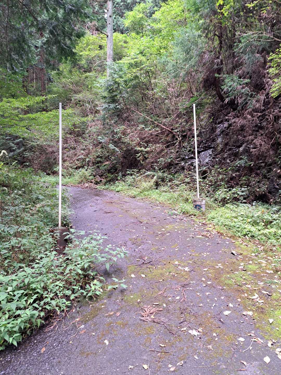 宇都宮市森林公園駐車場登山口-手岡峠-長倉山 周回コースの写真