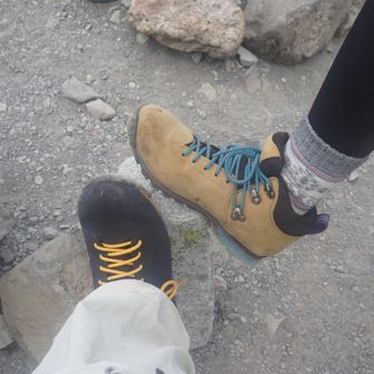 蜩鳴ク_higurashinaku