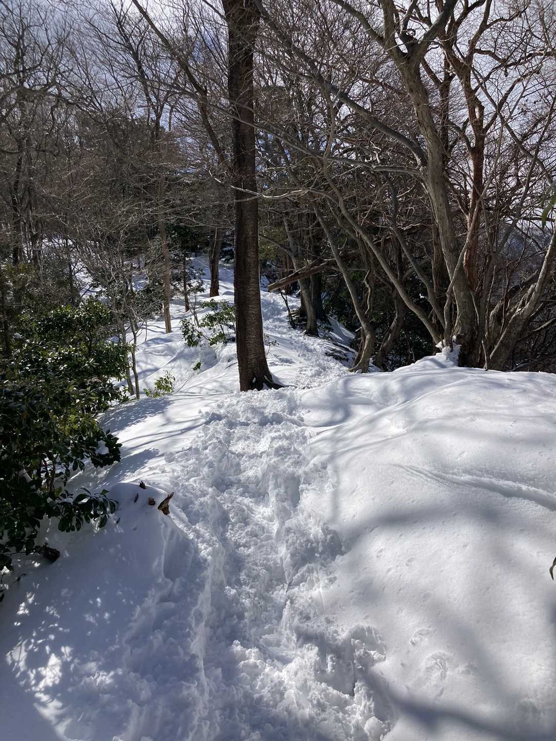 三方山 往復コースの写真