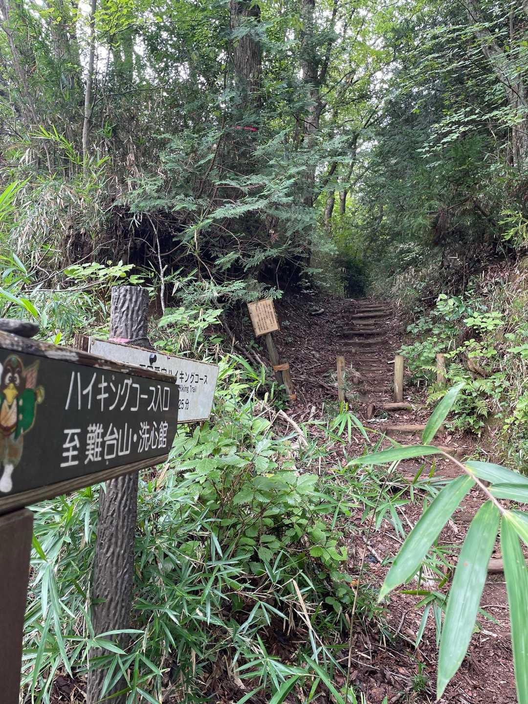 登山口
ここから登山道になります😊