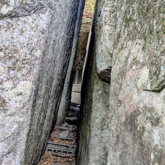 3回くぐると願いが叶う！