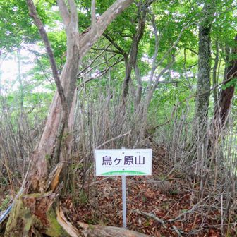 烏ヶ原山で小休止😅また雨降ってきたな🥲