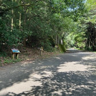 ここから又登山道に入ります