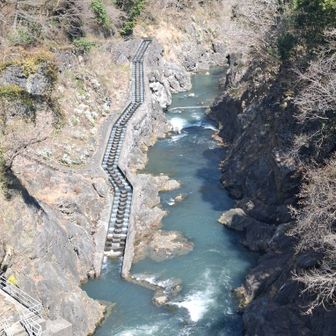 これが魚道𓆛𓆜𓆝𓆞𓆟
いやー、すごい！
これ見たかったの✨
ここを遡上するなんてすごいねぇ👏
