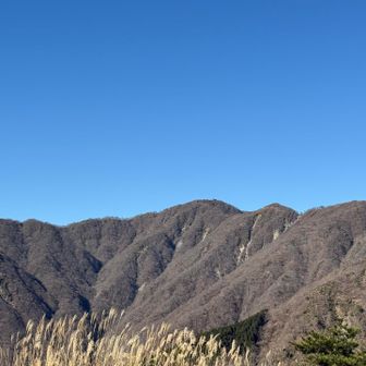 これから歩く先です。