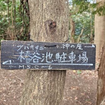 神の座が気になりますが今回はパス