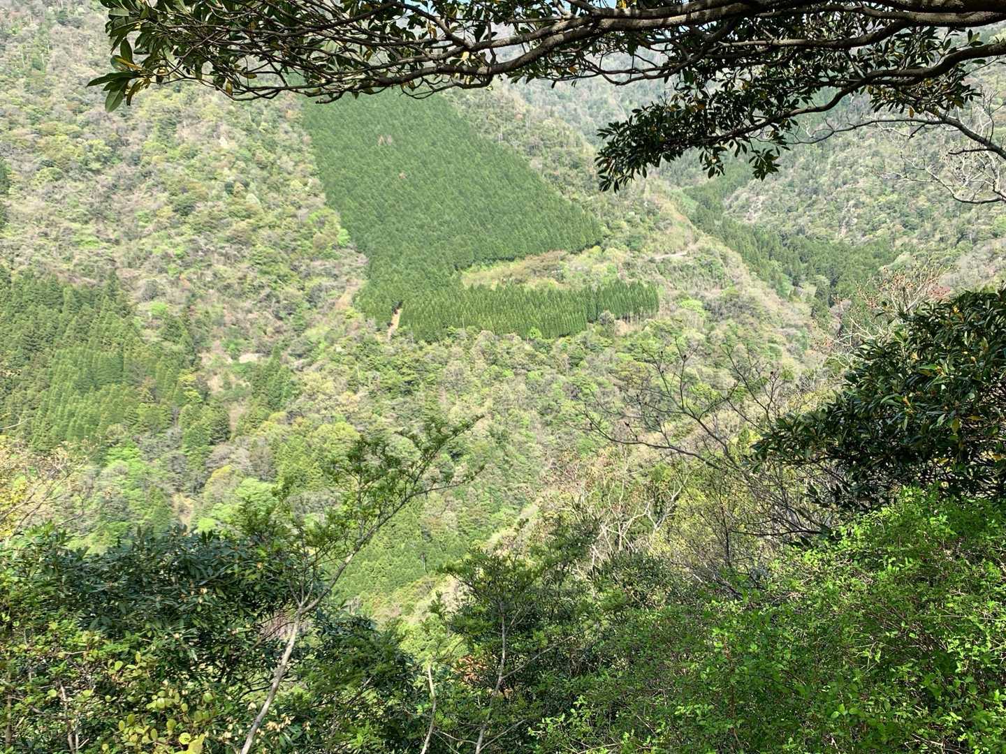 鳶巣城跡登山口-鳶が巣山 往復コースの写真