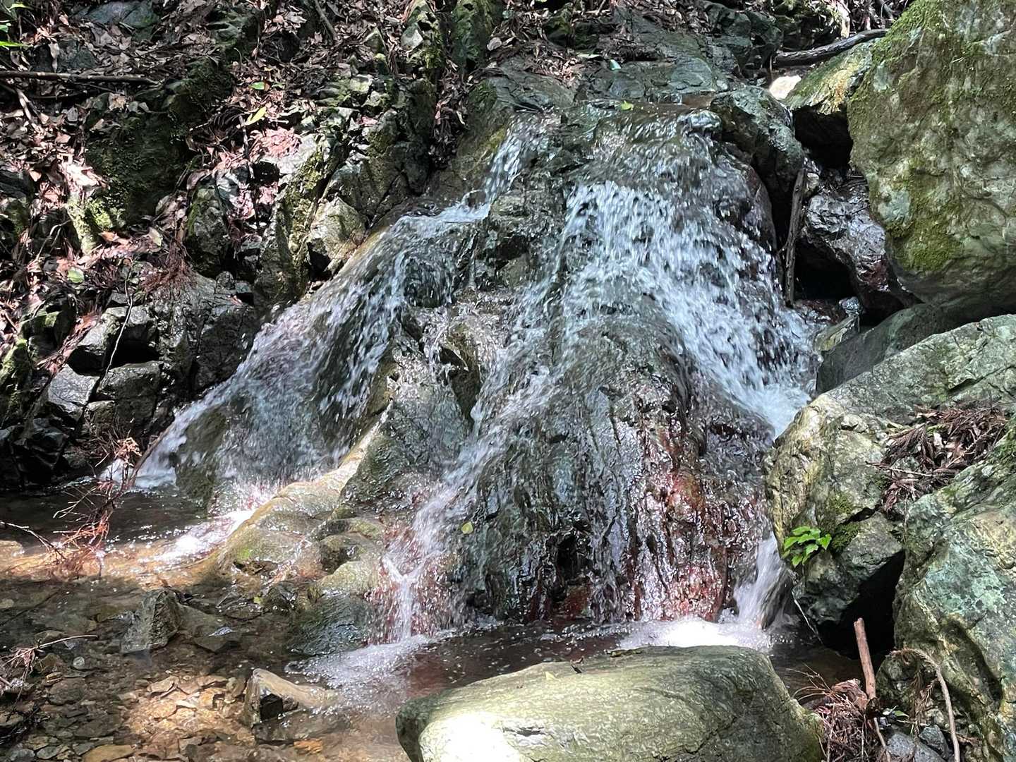 涼しげな渓流に目を奪われ近づいてみました☺️
でも見つめ過ぎてると…