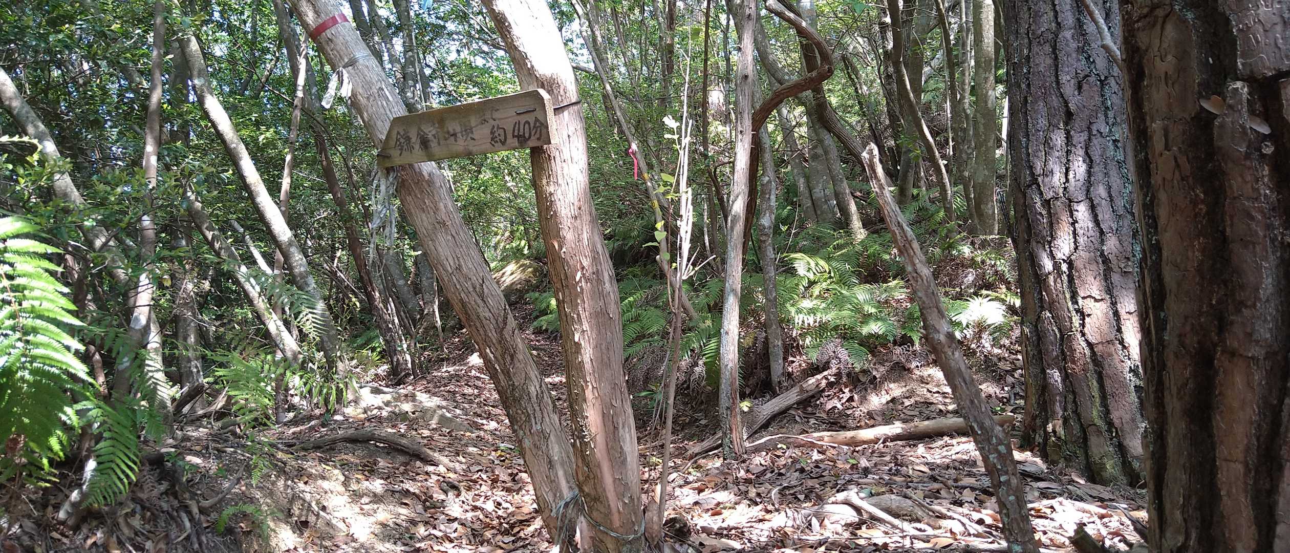 帰ってきました。