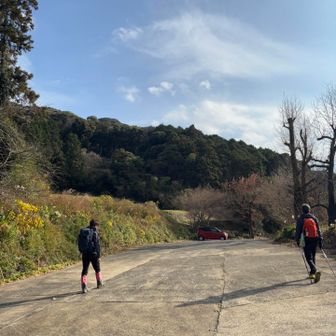 一台デポしてもらったのでバス時間気にしなくてよかった〜ｱﾘｶﾞﾄｳ🙏